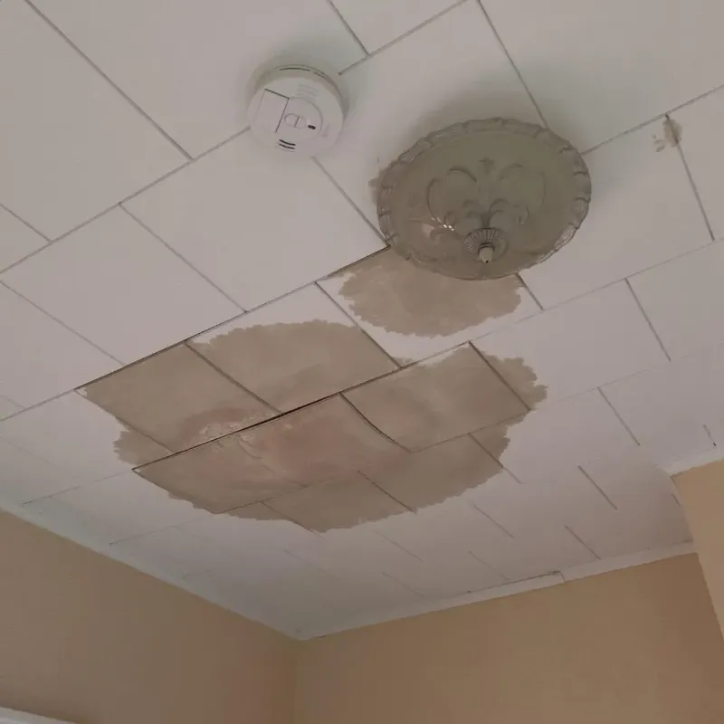Ceiling Water Damage Repair in Gladstone, NJ