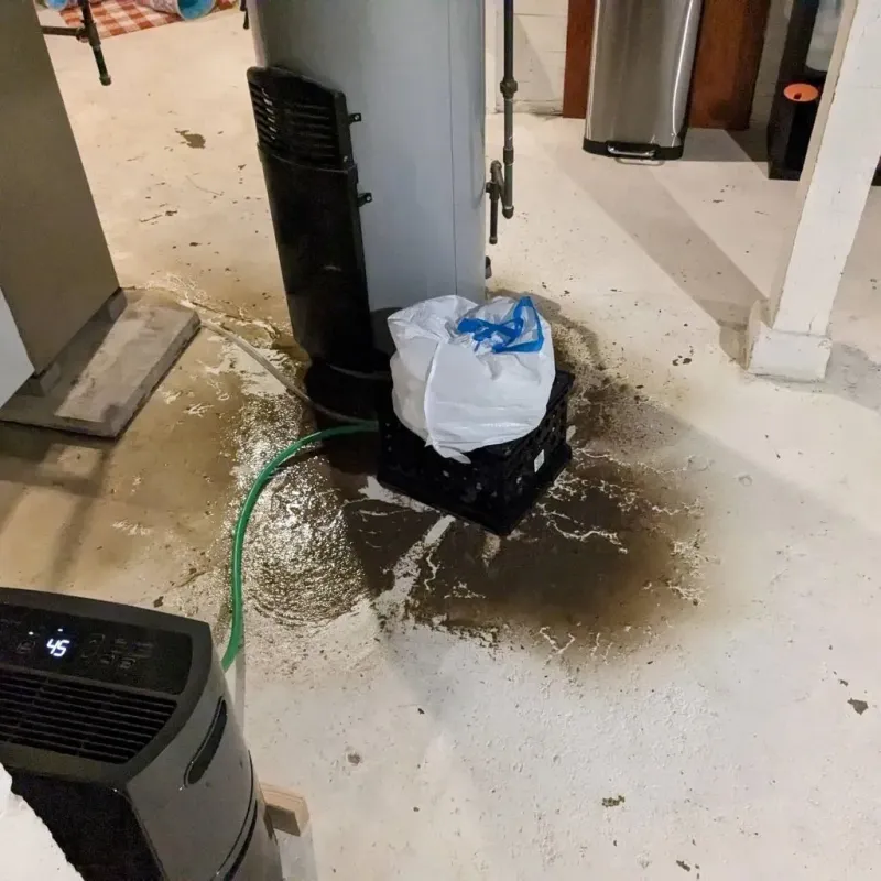 Sewage Backup Cleanup Service in Gladstone, NJ